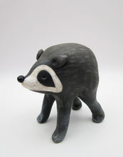 JIMOTHY the raccoon summer folk art Seattle WA