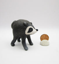 JIMOTHY the raccoon summer folk art Seattle WA