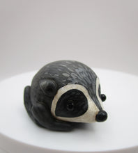 JIMOTHY the raccoon summer folk art Seattle WA