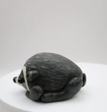 JIMOTHY the raccoon summer folk art Seattle WA