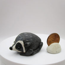 JIMOTHY the raccoon summer folk art Seattle WA
