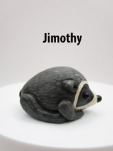 JIMOTHY the raccoon summer folk art Seattle WA