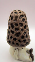 Wacky character woodland MOREL mushroom man