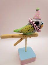 Party parakeet on perch misc bird art