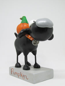 Halloween black dog with pumpkin on his back
