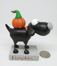 Halloween black dog with pumpkin on his back